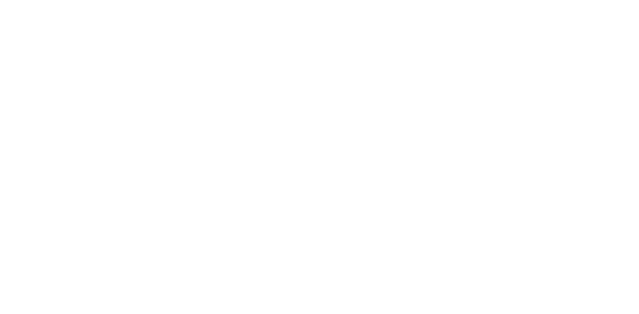 Raycon
